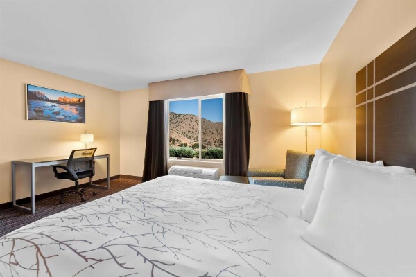 Best Western Topaz Lake Inn image 16